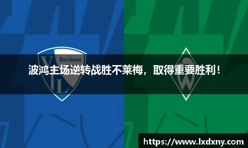 好博体育APP